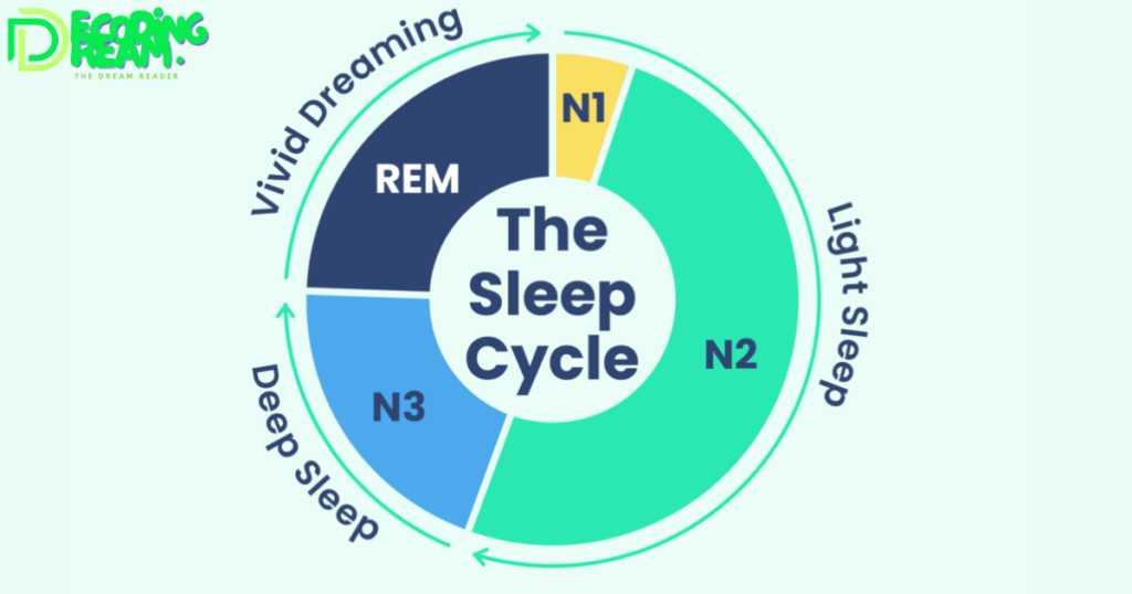 Normal Dreams: Understanding The Science Behind Our Sleep Fantasies