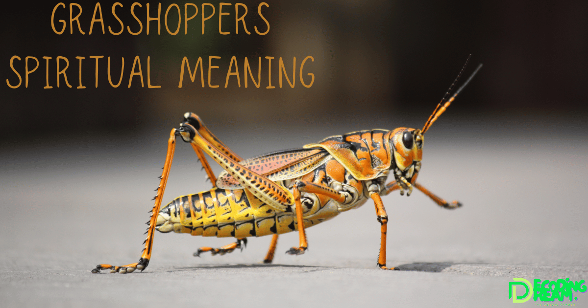 Grasshoppers Spiritual Meaning