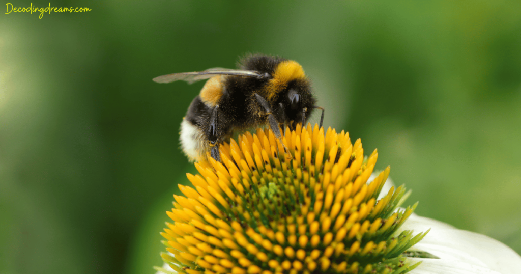 History and Folklore of the Bumblebee