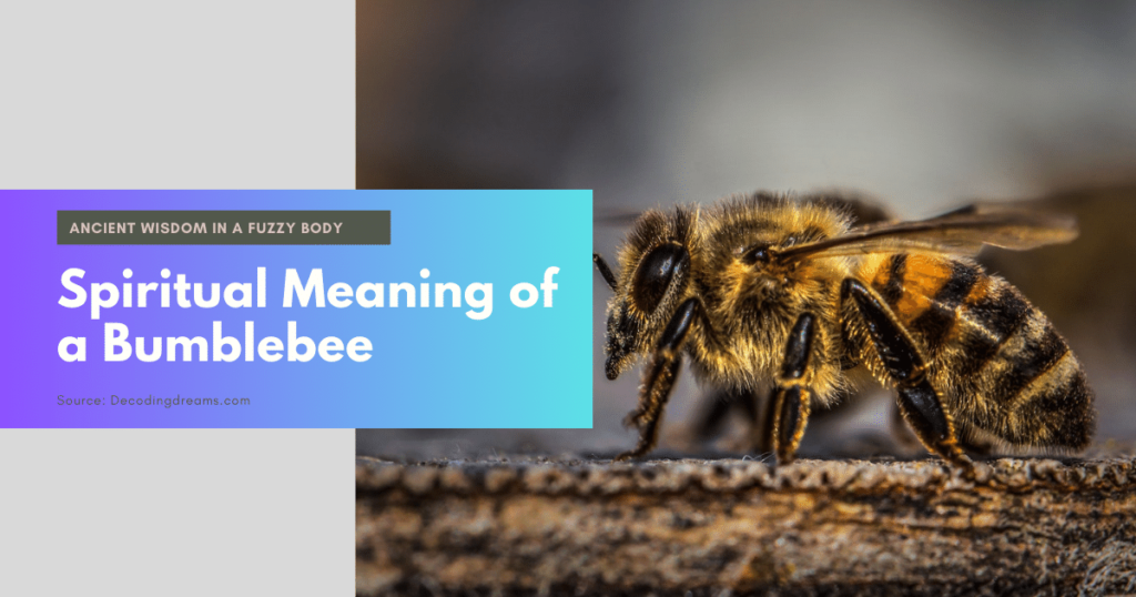 Spiritual Meaning of a Bumblebee: Ancient Wisdom in a Fuzzy Body